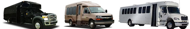 Bus Sales, Prison Bus, Shuttle Bus, Child Care Bus, Nursing Facility Bus